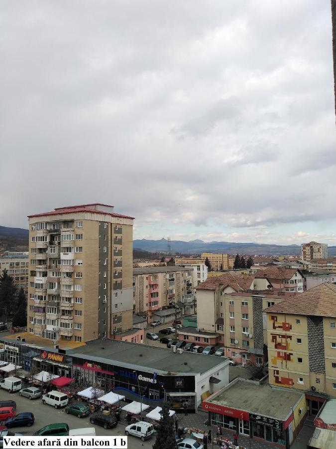 Apartament Salina Bulevard Alba Iulia Exterior foto